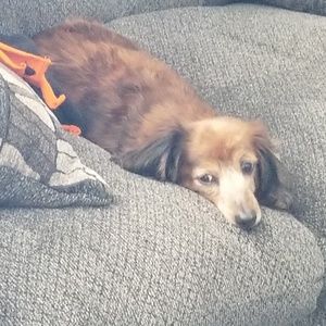 Meet your Posher, Suzanne